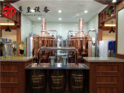 ZH-300L酒吧啤酒设备